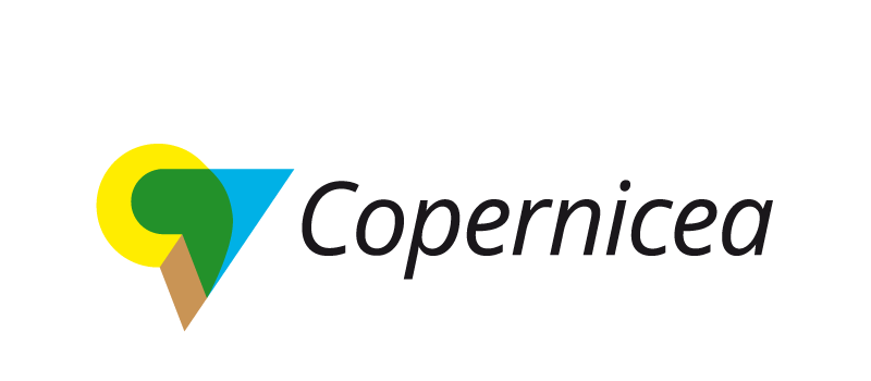 logo Copernicea