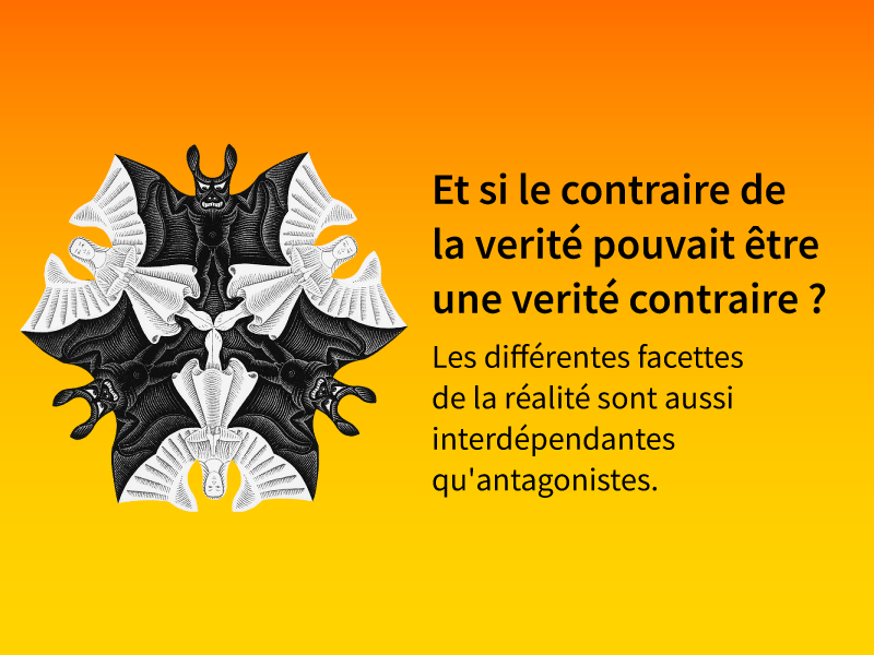 La Folle Théorie - Vérité contraire
