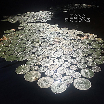 2019 SONOFICTIONS cover
